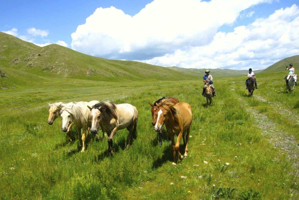 Mongolian_Horse_Trail