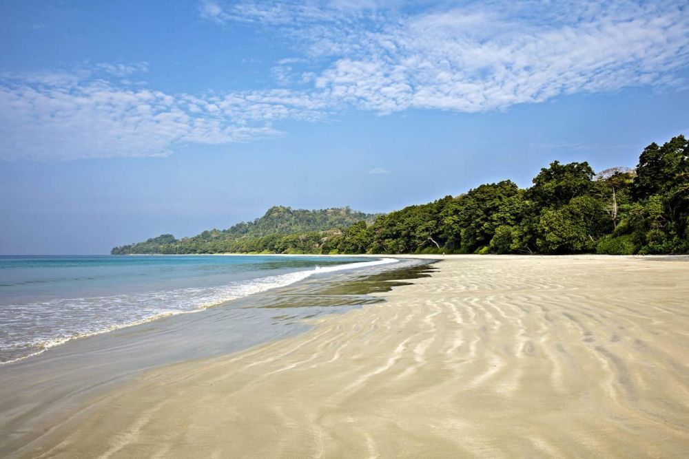 andamanen_beach_and_forest
