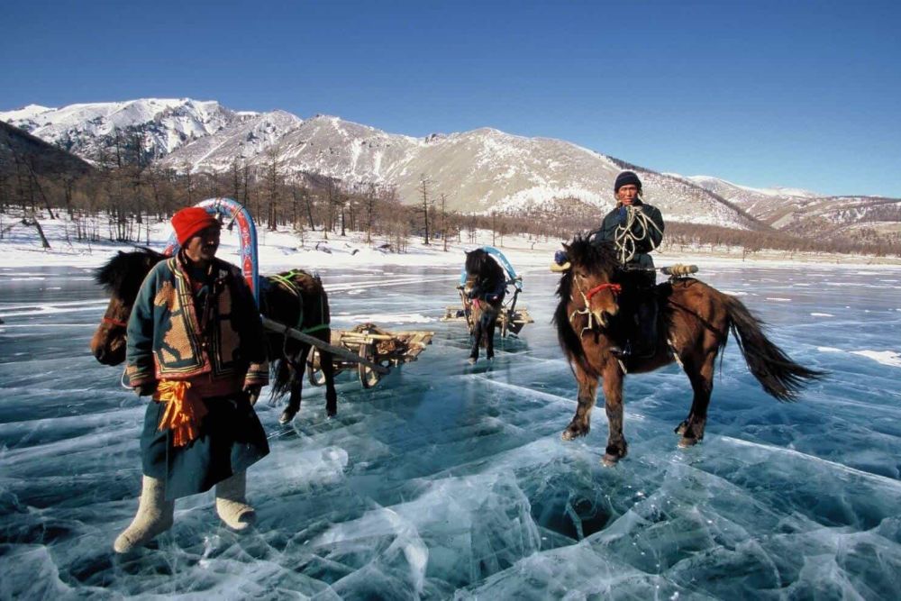 Horses_on_ice_mongolia