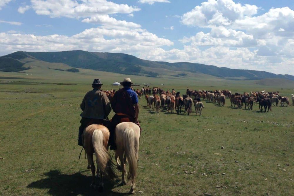 horse_riding_mongolia_gobi