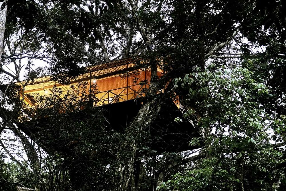 tree-house_vythiri_resort_kerala