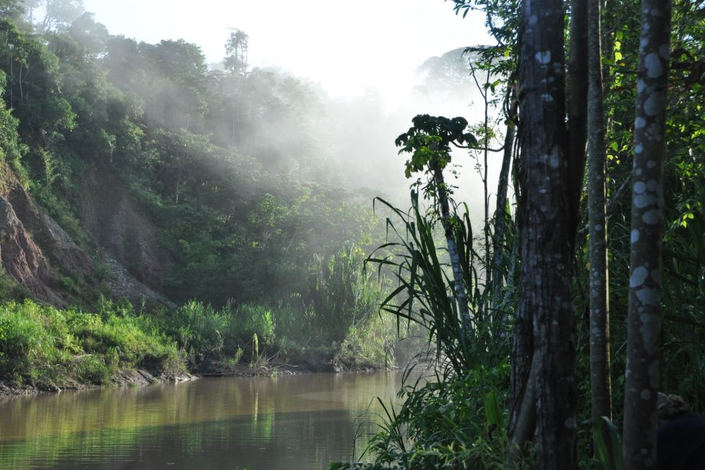 Amazon-foggy_river
