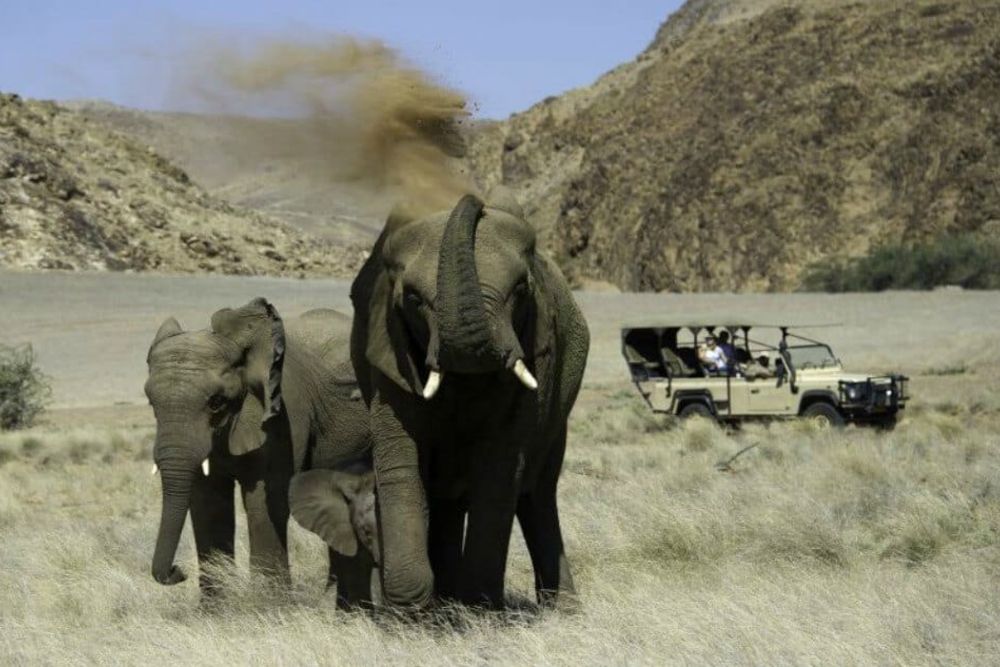 safari_car_elephant_Namibia