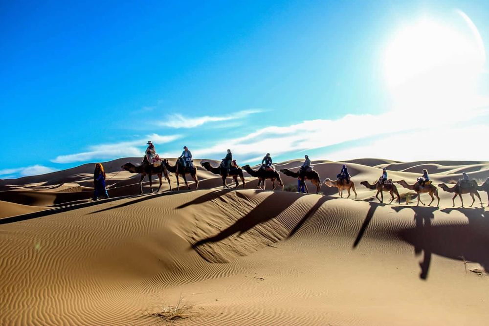 view-for-a-group-camel-ride-at-sunrise