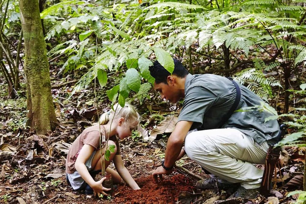 Costa Rica child_planting_tree