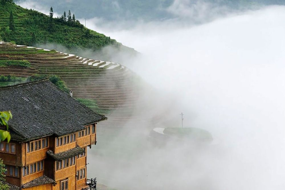 Li-An-Lodge-fog_rice_fields
