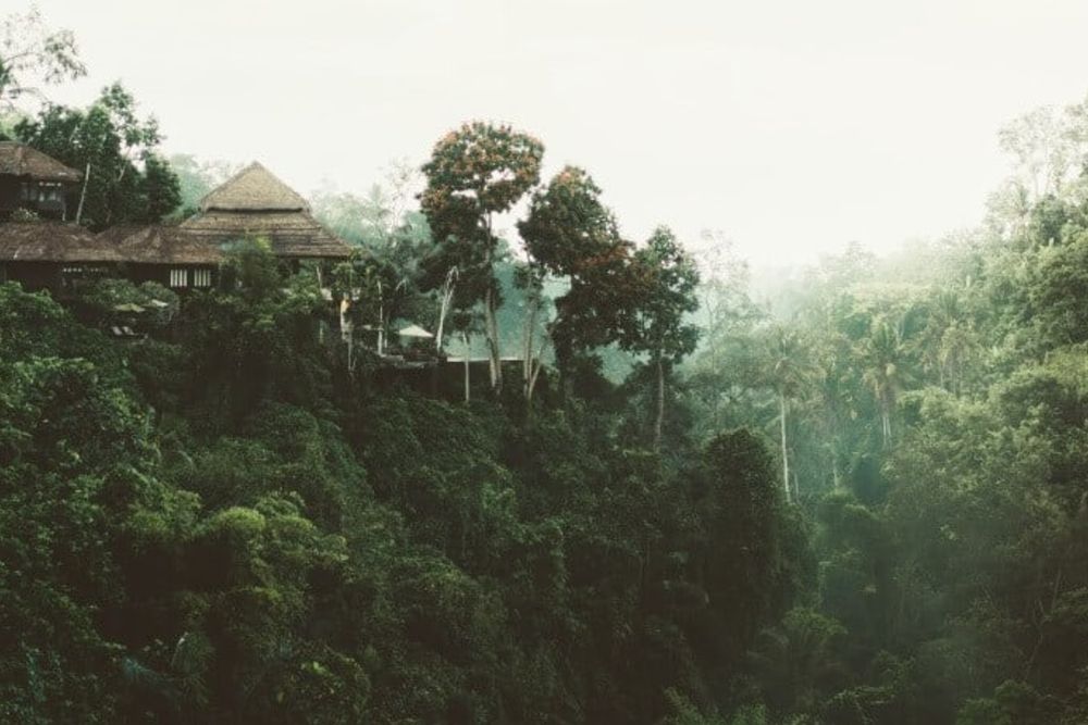 remote_island_rainforest