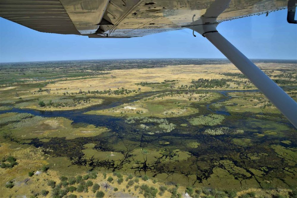 Okavango_from_plane