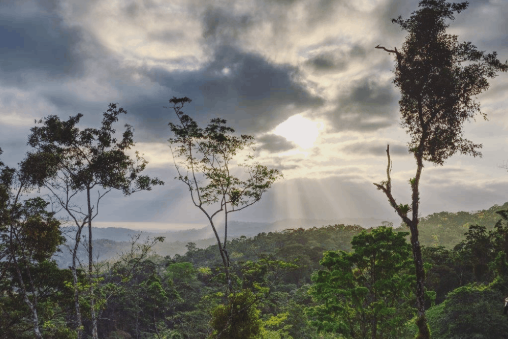 Costa-Rica-Origins-sun-coming-through