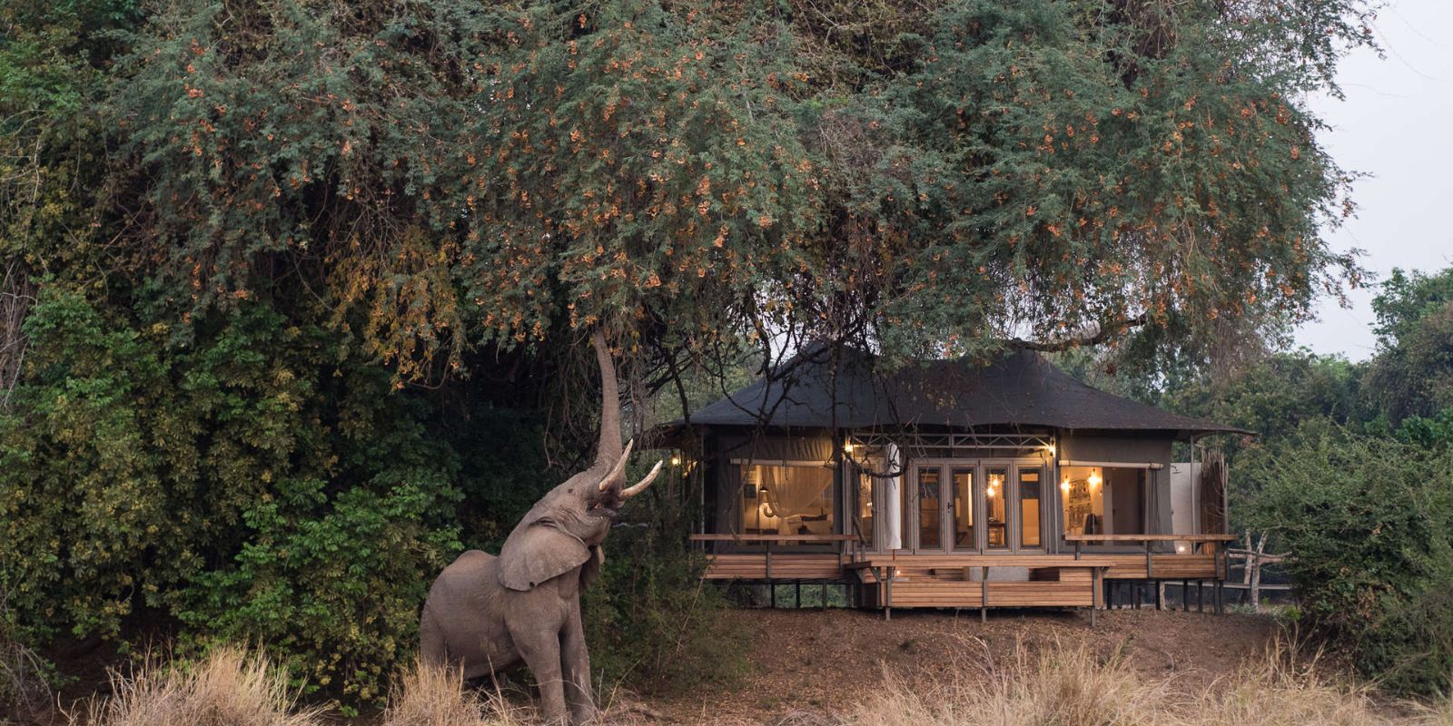 Zimbabwe_lodge_safari