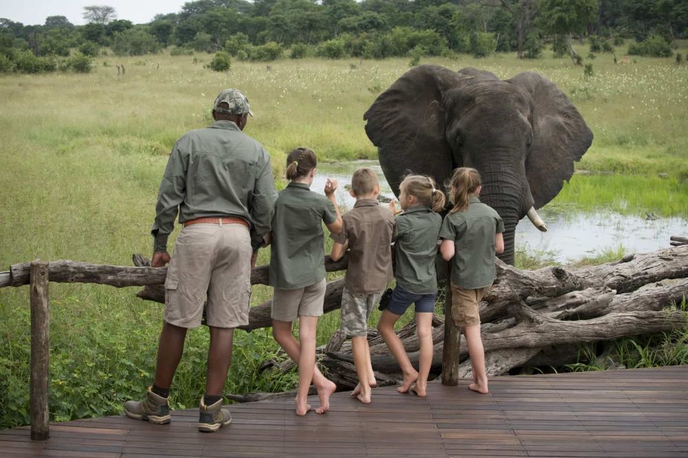 Zimbabwe_Somalisa_kids_elephants