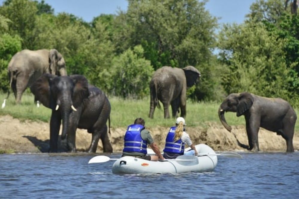 boat_safari_elephants_zambia