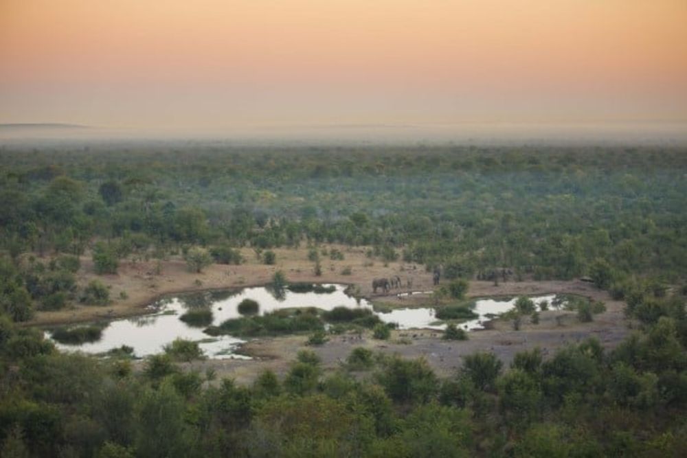 zambia_water_site_elephants
