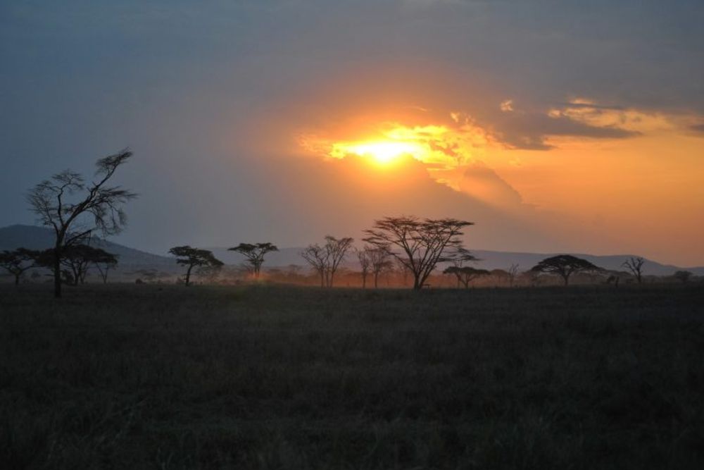 serengeti_at_sunset_hour