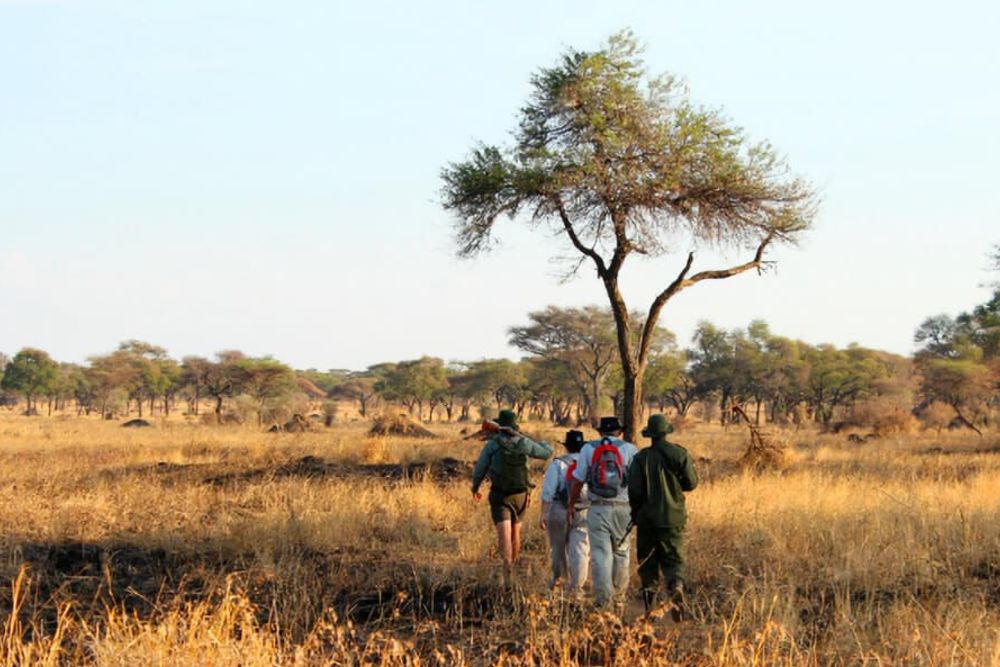 walking safari rangers