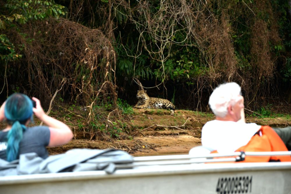 boat_safari_photography_leopard