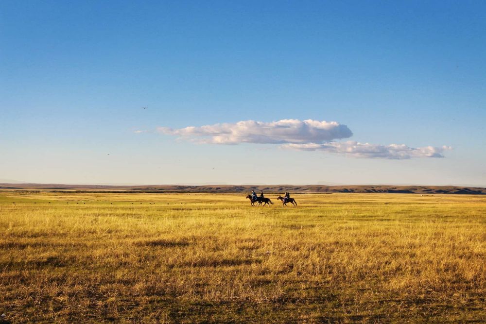 horse_riding_landscape_steppe
