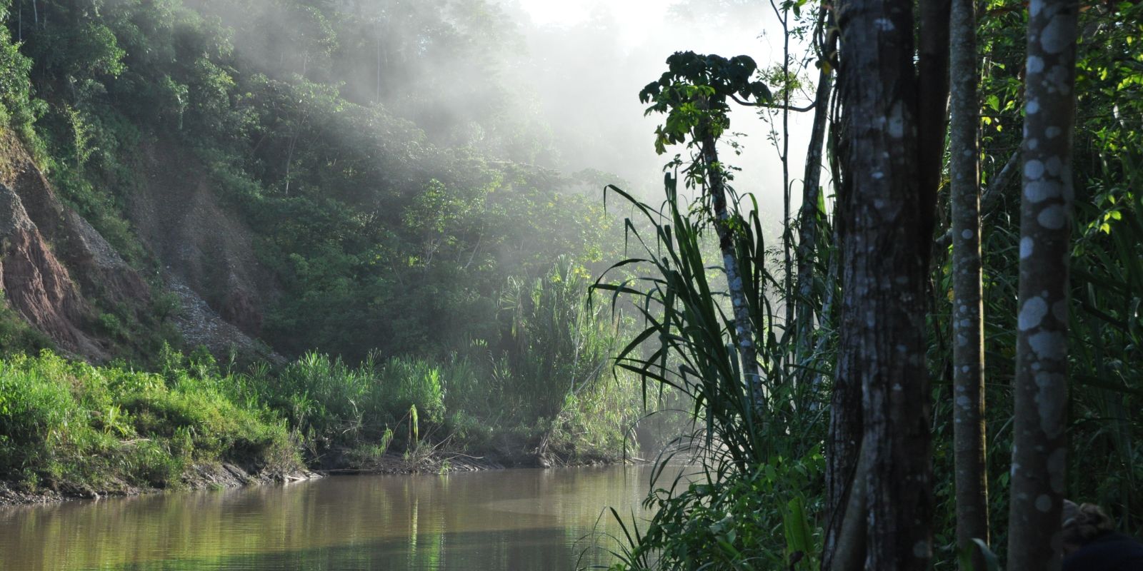 Amazon_river_foggy