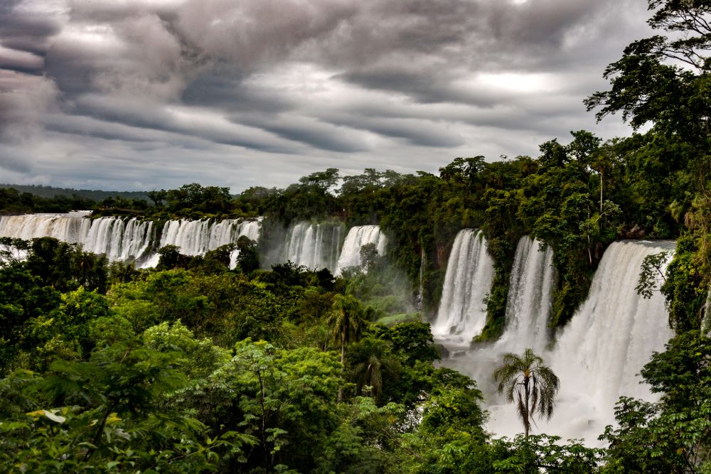 Iguazu_waterfalls_trees