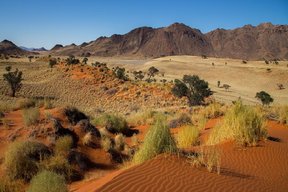 Namibia_dune_landscape