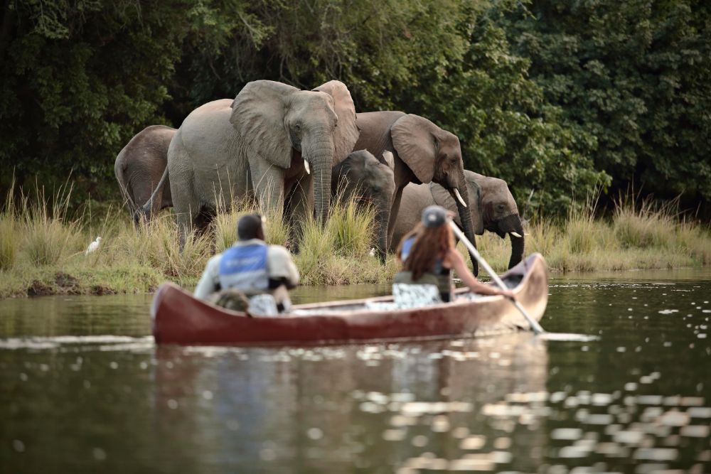 canoeing_safari_elephants