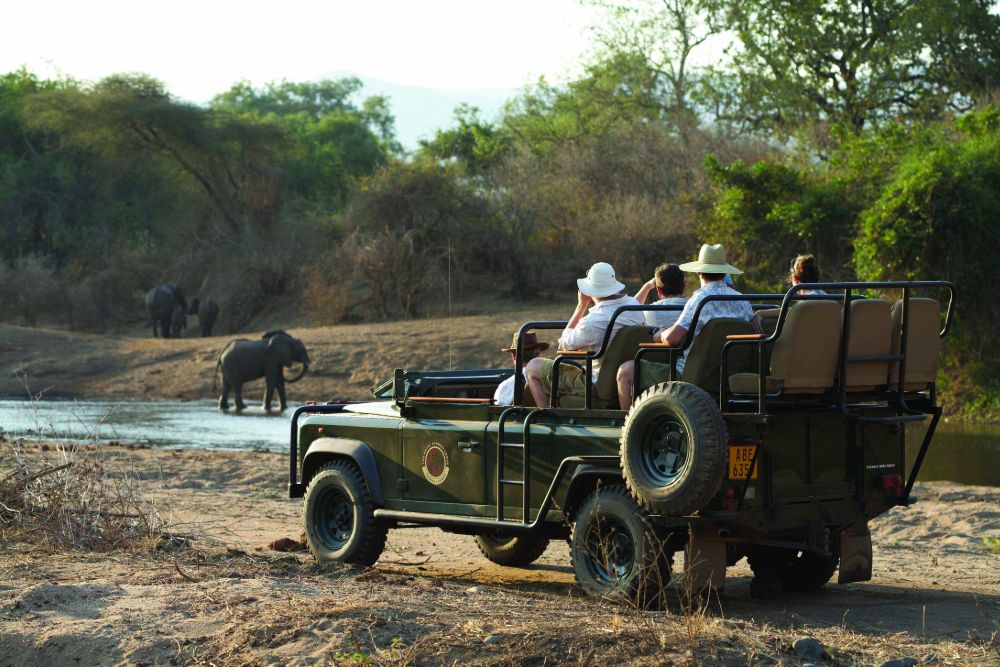 safari_car_tourists_elephants