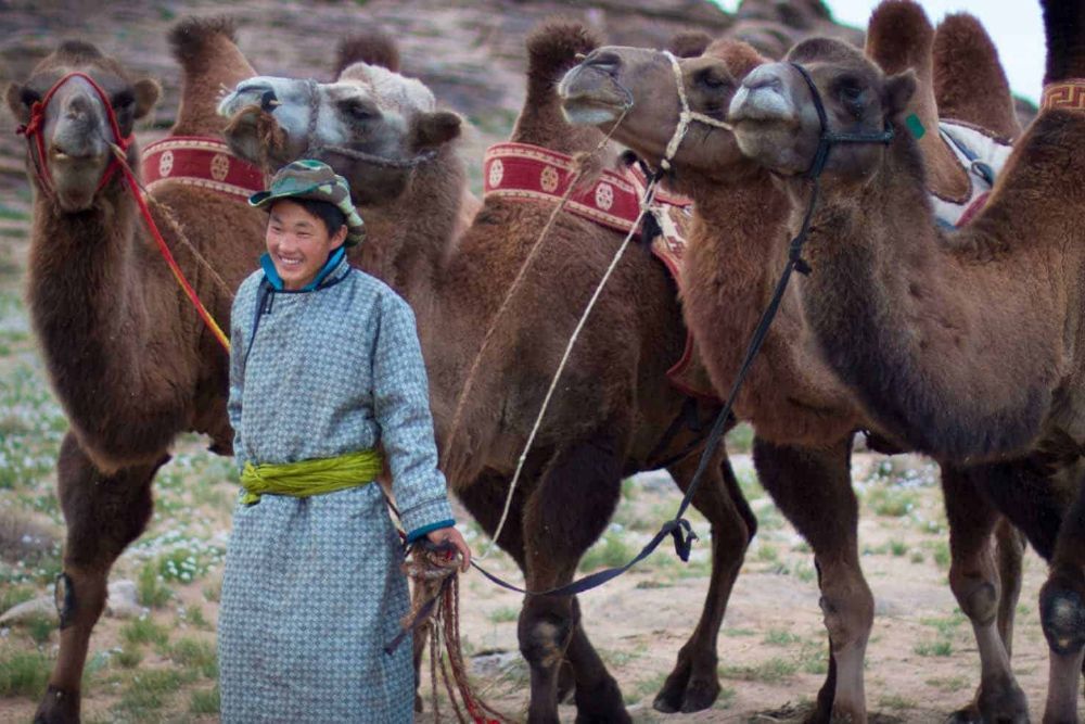 mongolian_man_leading_camel
