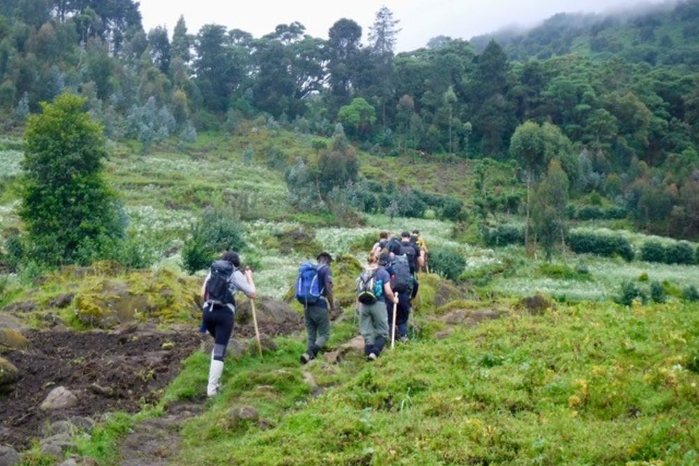 trekking_rwanda_green_landscape