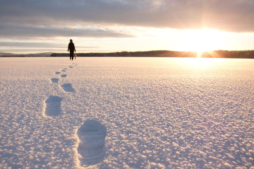 footsteps_in_snow_sun